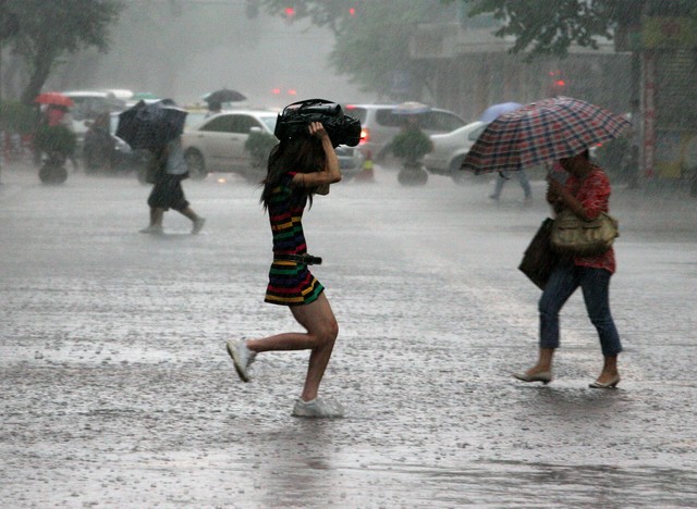 暴雨天氣安全避險指南_強降雨出行安全措施_出行提示