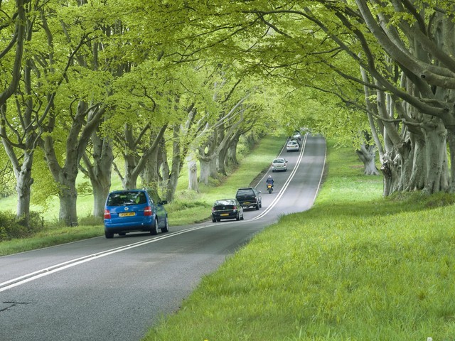 出行提示_強降雨天氣自駕出行注意事項_強降雨出行安全提示