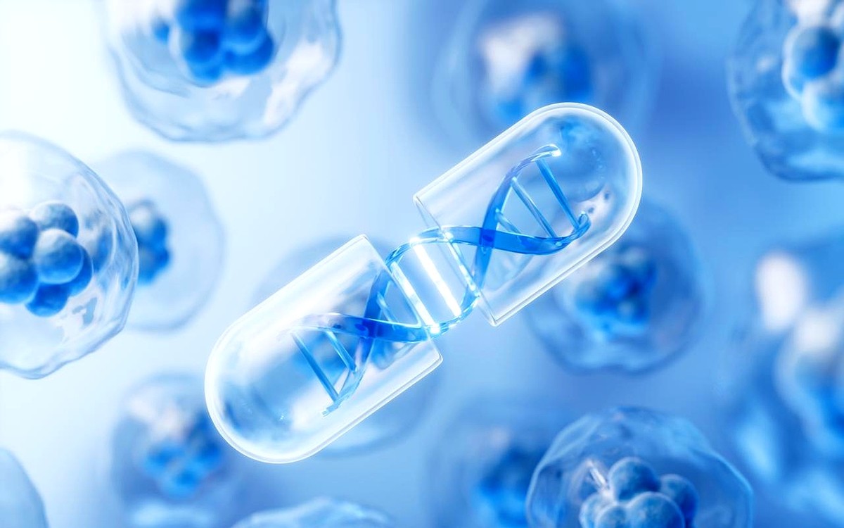 成都限行新規_高新南區限行_限行