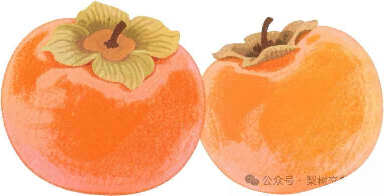 秋冬交通安全指南_出行提示_吉林交警出行安全