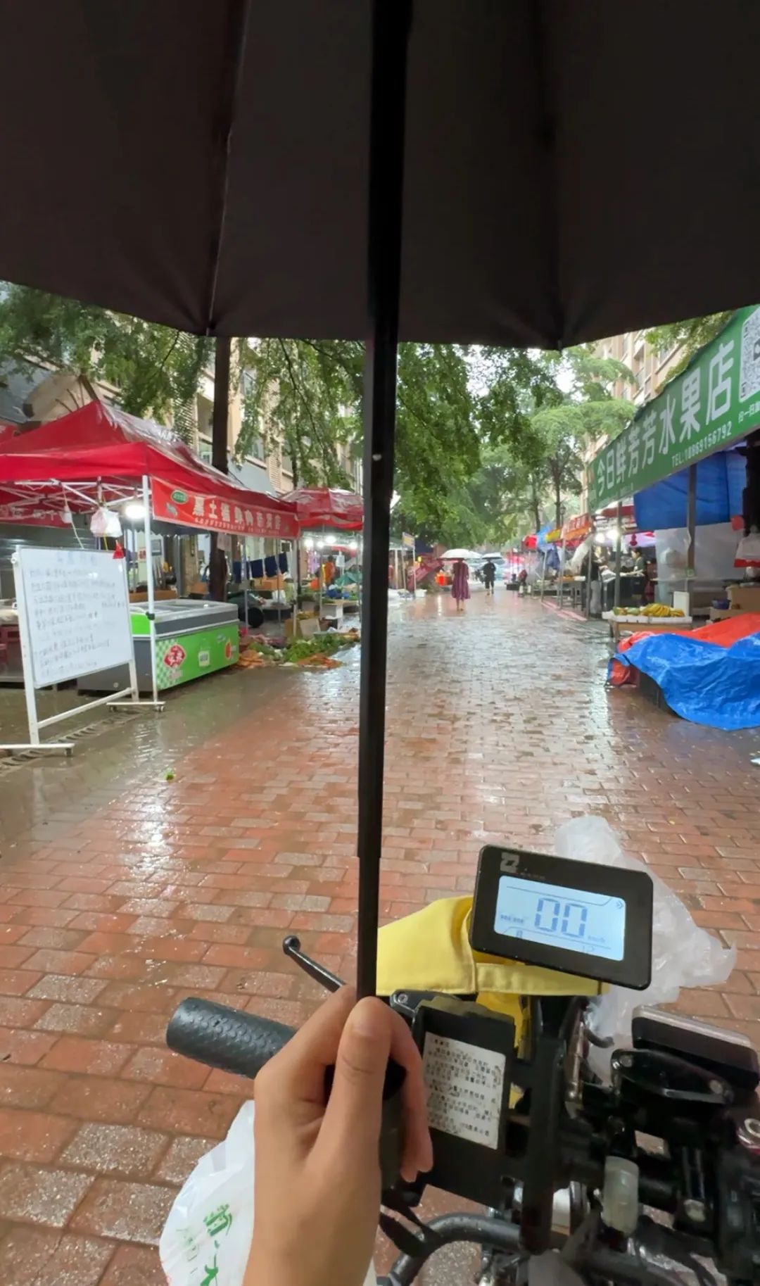 暑期輪椅旅行準備_出行提示_無(wú)障礙旅游出行指南