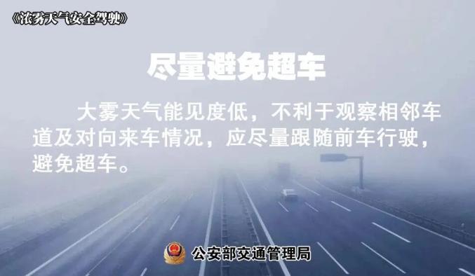 霧天安全行車(chē)小貼士_出行提示_大霧天氣出行注意事項