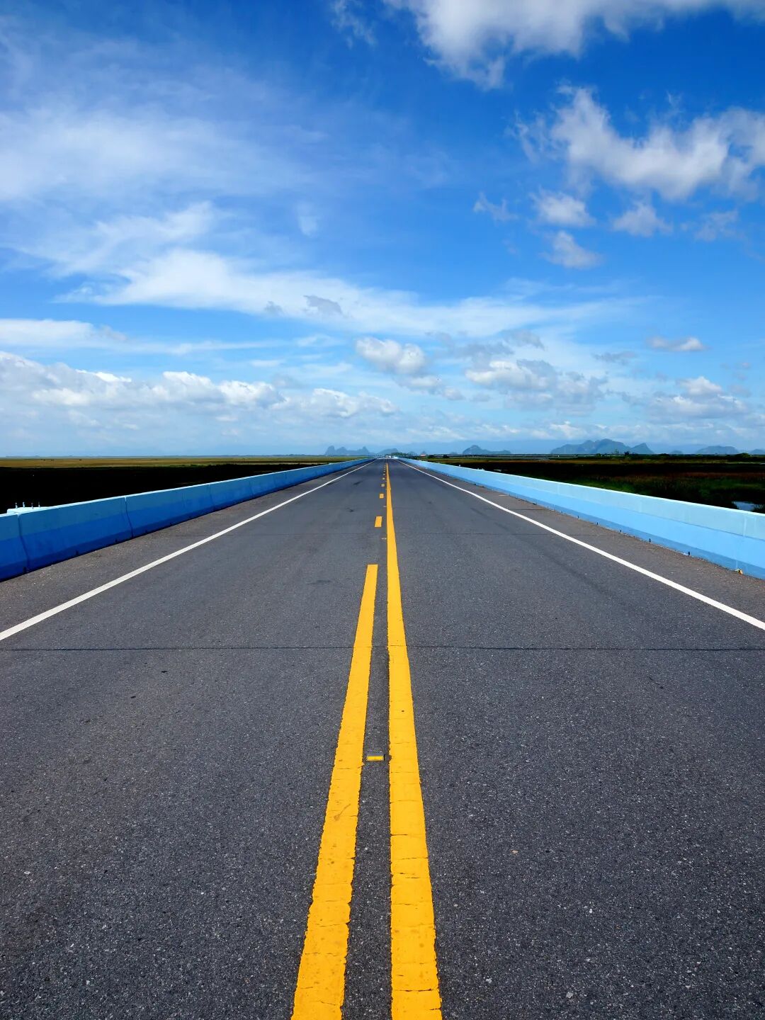 專(zhuān)業(yè)路況檢測_道路養護科技賦能_路況