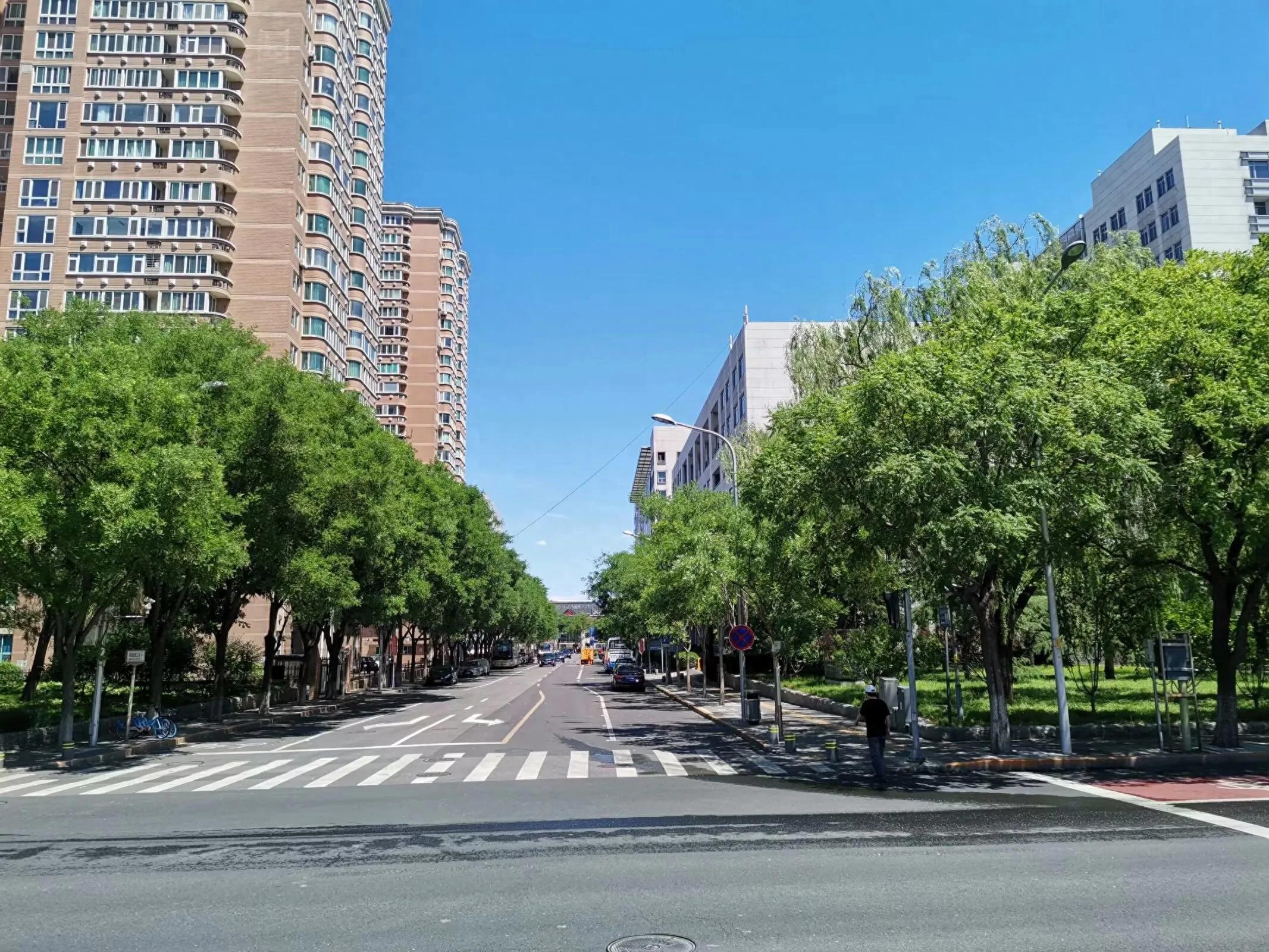 交通出行安全提示_出行提示_文明出行規范