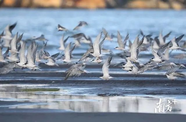 中山臺風(fēng)預報_禁行_中山黑煙車(chē)禁行罰款