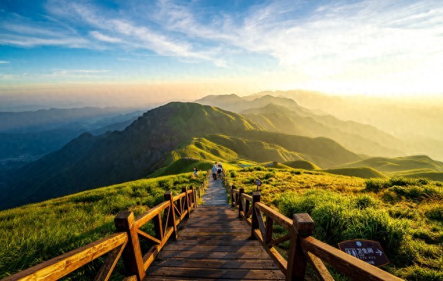 限行_2026新車(chē)牌改革_8位號牌分類(lèi)標識