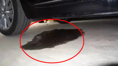 開(kāi)車(chē)前繞車(chē)一周_出行提示_雪天行車(chē)安全注意事項