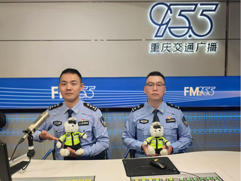 駕駛人出行安全_農村道路交通安全提示_出行提示