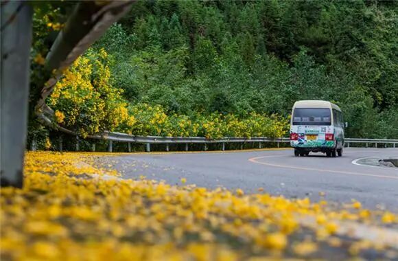 出行提示_農村道路交通安全提示_駕駛人出行安全