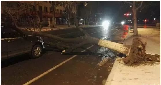 大風(fēng)天氣行車(chē)安全注意事項_出行提示_大風(fēng)天氣車(chē)輛行駛技巧