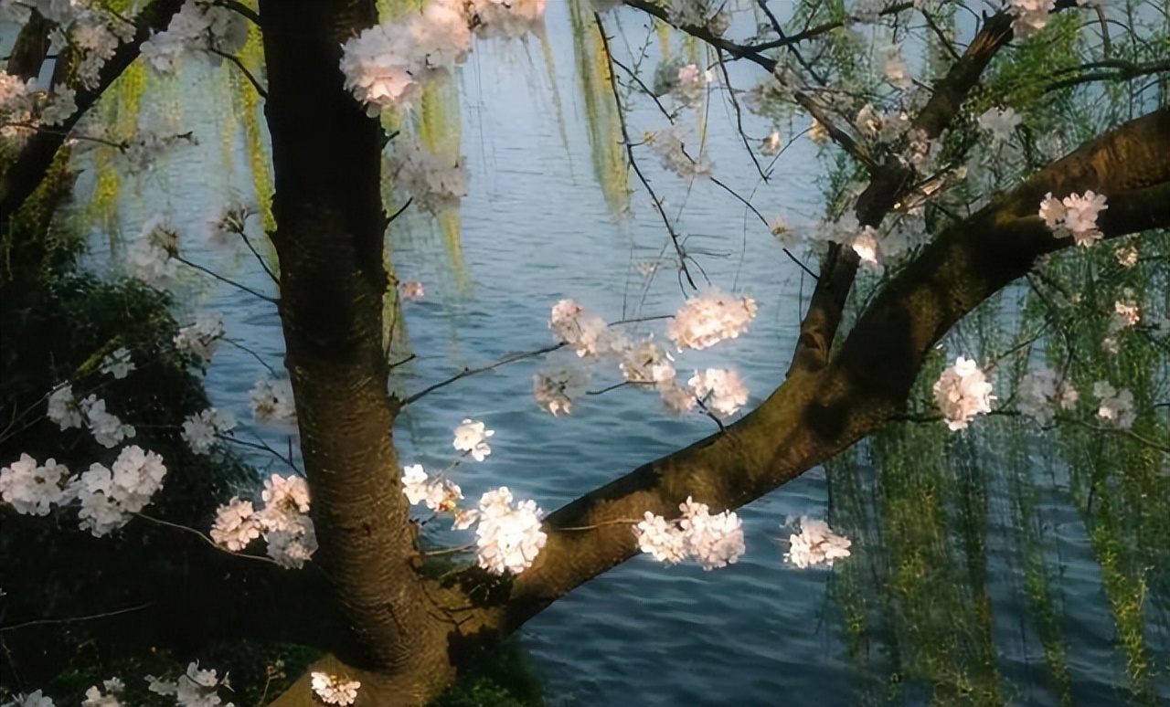 天津限行新規_字母車(chē)牌限行規則_限行