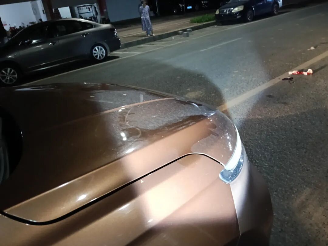 路況_行車(chē)安全注意事項_駕駛觀(guān)察禮讓行人