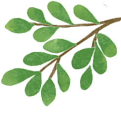 學(xué)生交通安全注意事項_開(kāi)學(xué)季交通安全出行提示_出行提示